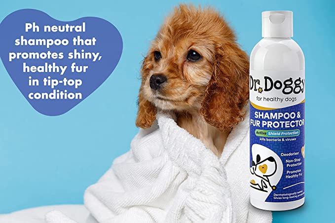 dr doggy shampoo 3